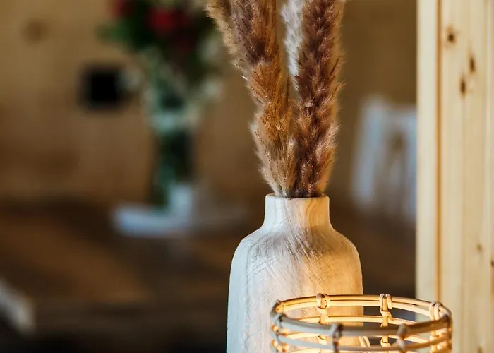 Arkadia Holiday - Domki I Wyjatkowe Atrakcje Dla Dzieci Wladyslawowo * Władysławowo