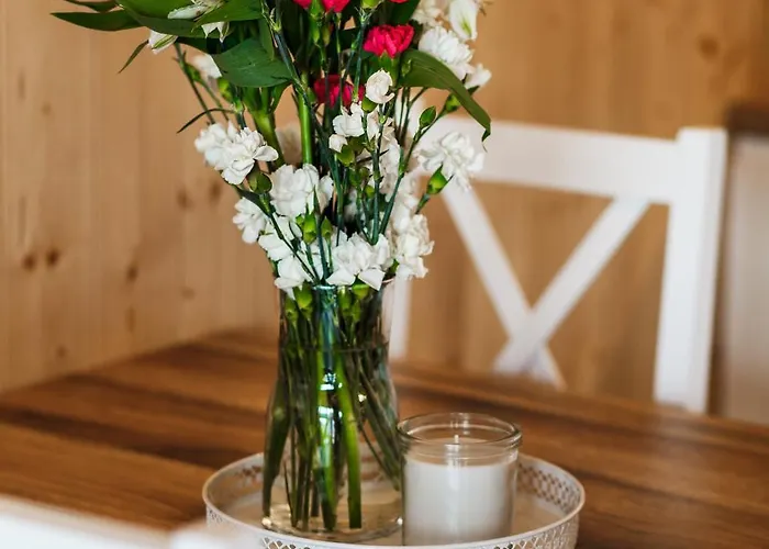 Arkadia Holiday - Domki I Wyjatkowe Atrakcje Dla Dzieci Wladyslawowo Jaktstuga *